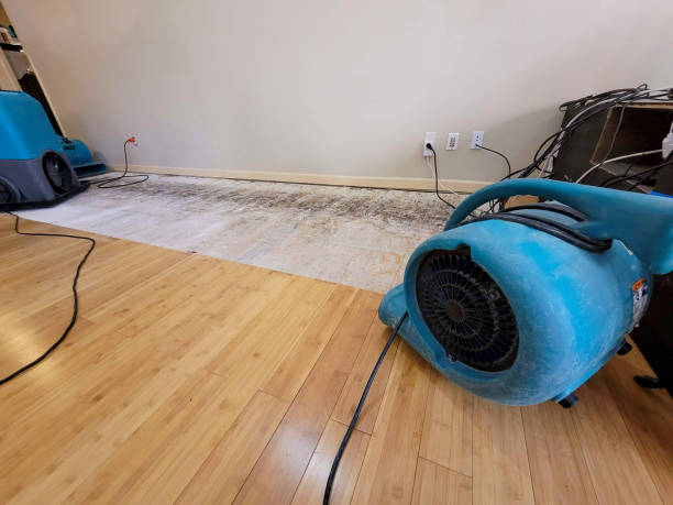 Professional Emergency Water Damage technician working in Lynwood, CA